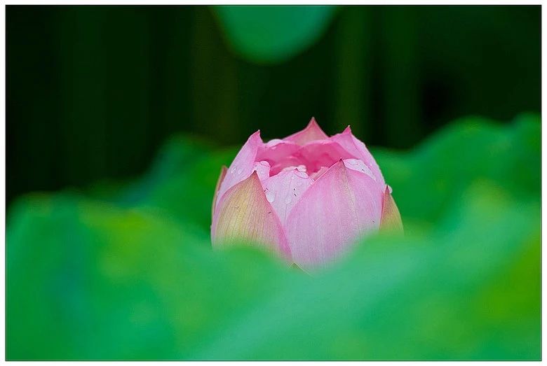 ������|2018��7��ˇ�g(sh��)Ϳ����Ӗ(x��n)���ʻ��