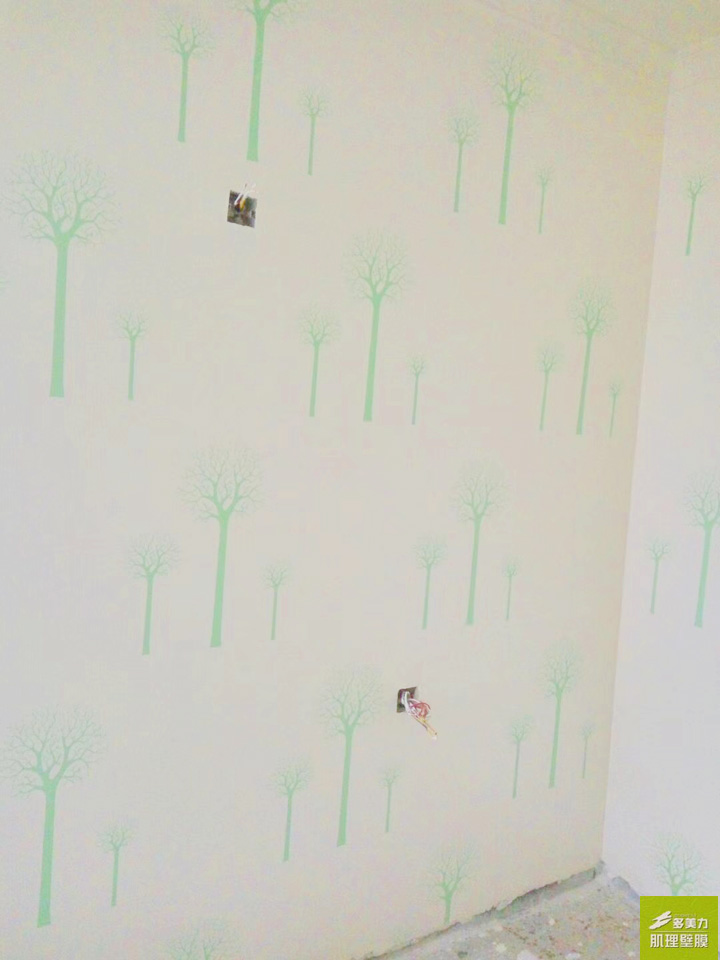 ������Ĥʩ������